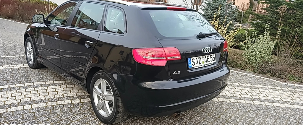 Audi A3 cena 25900 przebieg: 197258, rok produkcji 2009 z Kętrzyn małe 301